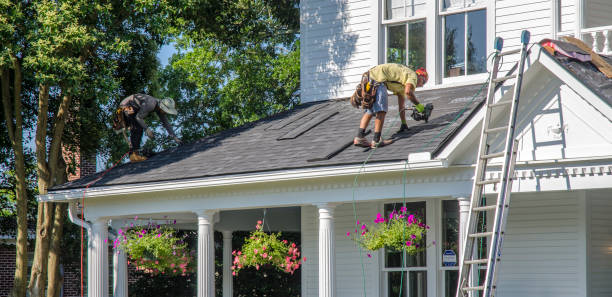Asphalt Shingles Roofing in Brandon, FL